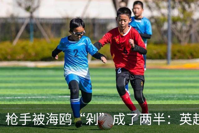 枪手被海鸥“剁”成了两半：英超的悲情与欢笑
